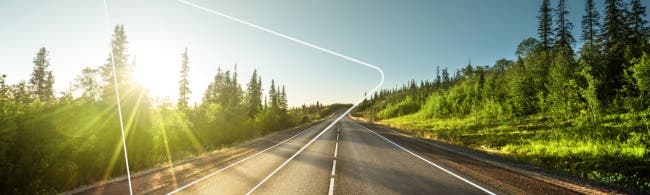 A road with woods on either side