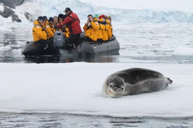 Antarctica zodiac excursion